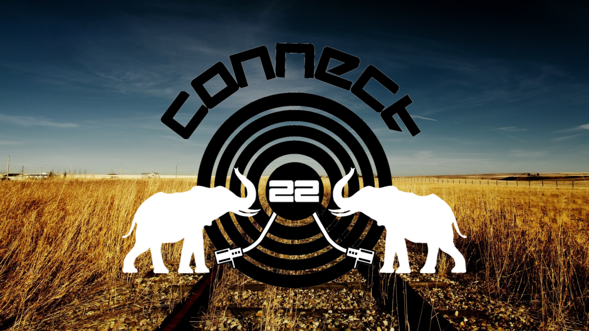 Connect Music Festival Logo